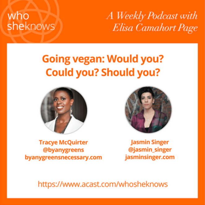 SheKnows Podcast with Jasmin Singer